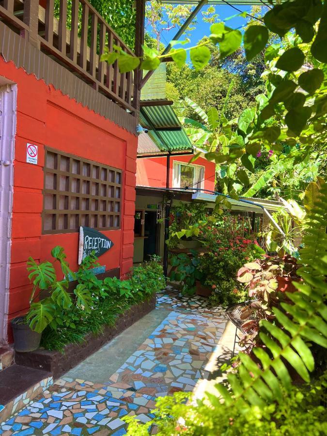 Pura Vida Hostel Montezuma Exterior foto
